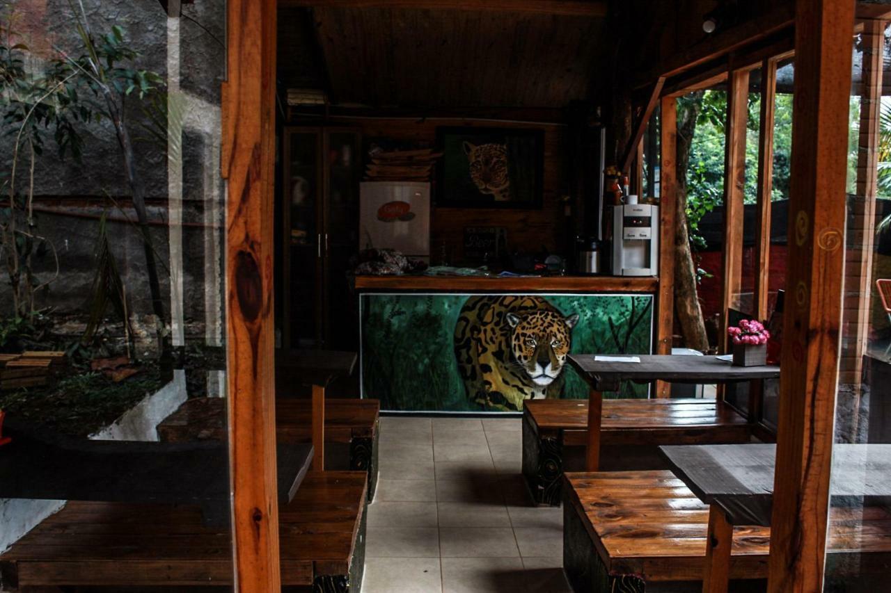 Krieger Haus Vandrarhem Puerto Iguazú Exteriör bild